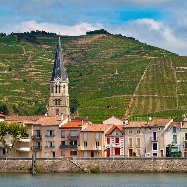 Tournon & Tain l’Hermitage