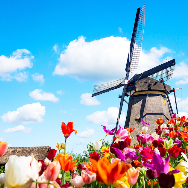 Kinderdijk